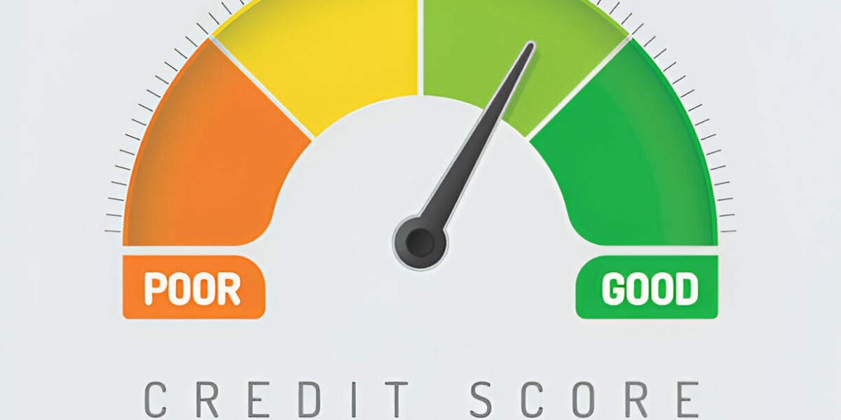 Credit Repair Guides